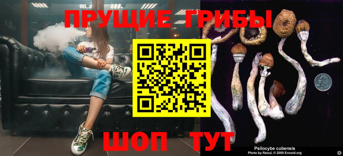 Псилоцибиновые грибы Psilocybe  Псилоцибиновые грибы Psilocybine cubensis  Ухта  Вход с VPN 