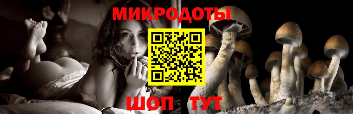 Псилоцибиновые грибы MAGIC MUSHROOMS Ухта
